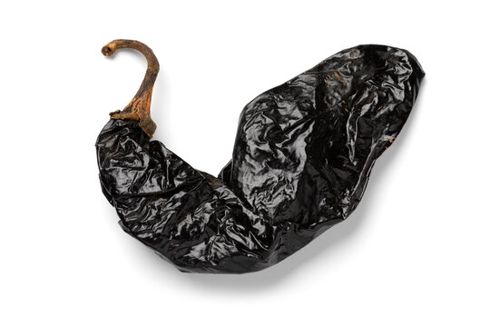 Single dried raw Mexican Pasilla pepper isolated on white background close up