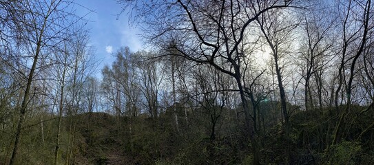 Auf dem Wegzur geologischen Formation Katzenschwanz bei Obersachswerfen