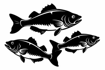 set of black Bass Fish, silhouette black, vector, illustration