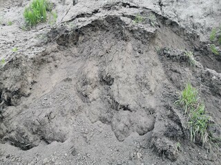 Overgrown Pile of Dirt With Grass