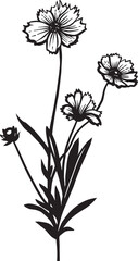 Coreopsis. Hand drawn vector plant illustration