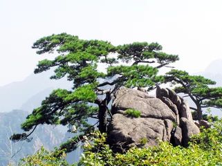 Zelfklevend Fotobehang Huangshan Scenery of Huangshan in Anhui, China, Huangshan is included in the World Cultural and Natural Heritage List, the world Geopark.