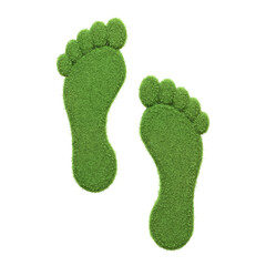 Isolated footprints made of green grass, representing an eco-friendly step or carbon footprint awareness. 3D Render illustration