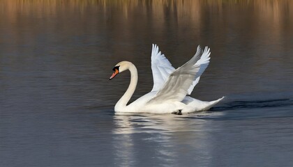 A Graceful Swan Gliding Across A Calm Lake - obrazy, fototapety, plakaty
