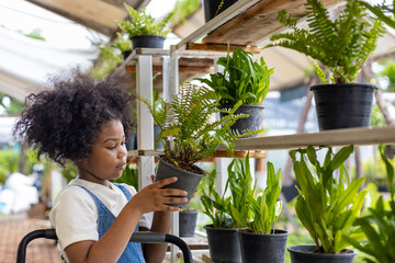 Young African American kid is choosing tropical fern and ornamental plant from the local garden center nursery during summer for weekend gardening and outdoor activity