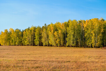 autumn landscape with bright colors in good weather