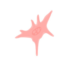 Human Fibroblast Cell Vektor Illustration