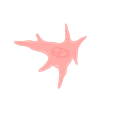 Human Fibroblast Cell Vektor Illustration