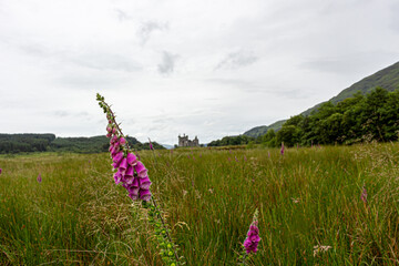 Kilchurn Castle on Loch awe