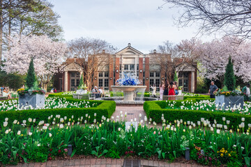 Blooming Flowers Over Magnolia Hall, Atlanta Botanical Garden, Atlanta, Georgia