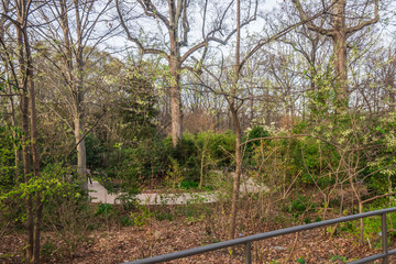 Curvy Path in Woody Botanical Garden, Atlanta Botanical Garden, Atlanta, Georgia