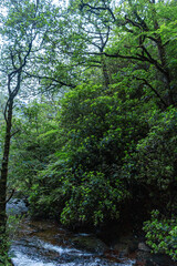 Exploring Kinlochleven