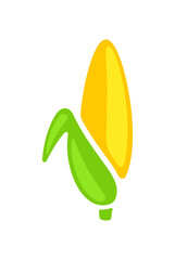 Ear corn, corn, corn cob, maize, food and meal. Cob, sweet corn, plant, vegetable, agriculture and farming, illustration