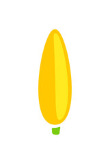 Ear corn, corn, corn cob, maize, food and meal. Cob, sweet corn, plant, vegetable, agriculture and farming, illustration