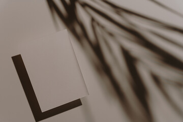 Top view of paper card with blank copy space on white background with aesthetic blurred palm leaves...
