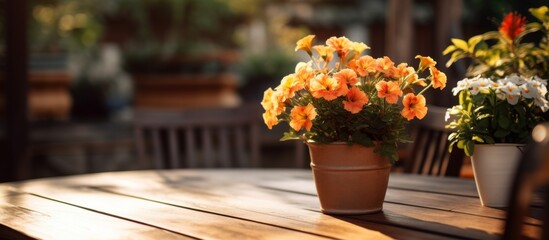 Fototapeta na wymiar Two potted plants on table flower arrangements beautify hardwood surface