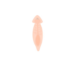 Planarian Flatworm Illustration 