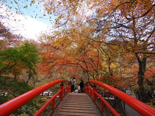 Fototapeta na wymiar 群馬県渋川市伊香保にある河鹿橋の紅葉