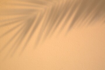 palm leaf shadow on sand color texture background. coconut leaves shadow on brown sandy beach....