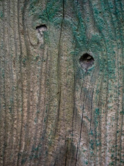 Bretterwand Holztextur