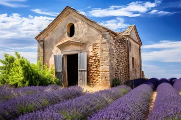 Fototapeten lavender field with a house. © Shades3d