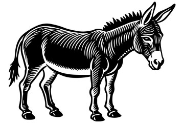 Fototapeta na wymiar zebra illustration isolated on white