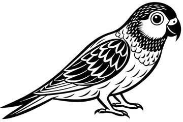 Fototapeta na wymiar sketch of a bird