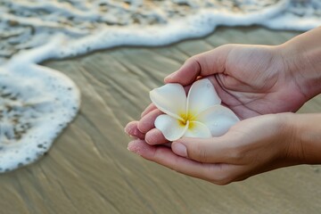 Gentle hands cradle a delicate white frangipani flower against a backdrop of soft beach sand and the ebbing tide