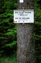 sentier de randonnée; Grand tétras; tetrao urogallus; région Lorraine; col du Freland; Roche du tétras; 88, Vosges, France