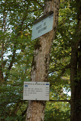 sentiers de randonnée, Bois le Roi, région Ile de France; Foret du Massif de Fontainebleau; 77, Seine et Marne, France