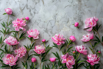 Creative layout of pink peony blossoms and foliage on a white concrete background