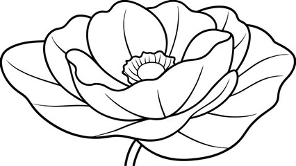 Captivating Poppy Vector Art Elevate Your Design with Stunning Floral Graphics