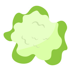 illustration of a cauliflower