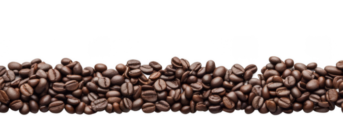 Row of Panoramic coffee beans isolate on transparent background, cutout, png