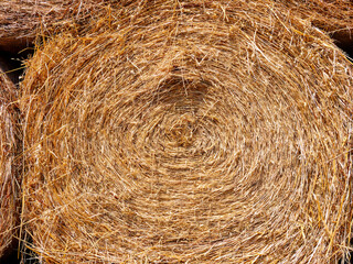 bale of straw in field closeup