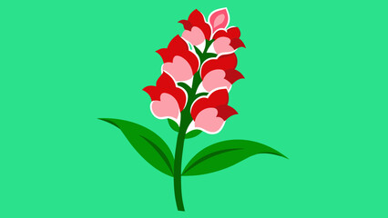 Snapdragon Flower Vector Illustrations for Stunning Designs
