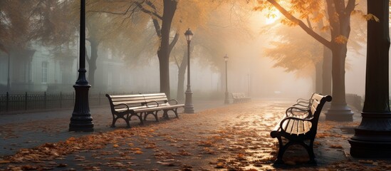 Wooden benches in park on foggy day, surrounded by natural landscape and trees - obrazy, fototapety, plakaty