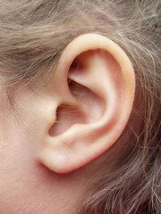 Closeup ear of female kid or child