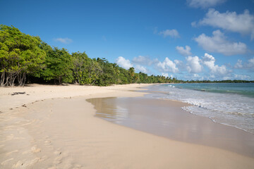 Paysage Tropical en Martinique - Plages des Salines