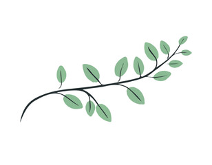 Branch with leaves Isolated on a white background. Flat style with line. Minimal flora design. Vector illustration
