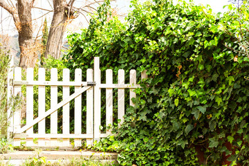 A white wooden fence surrounded by lush vegetation in the countryside.