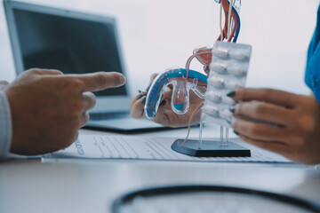 Doctor uses anatomical model to explain male urinary system. Model labeled with parts, doctor...