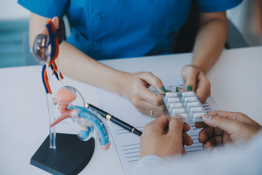 Doctor uses anatomical model to explain male urinary system. Model labeled with parts, doctor points and explains how they work together for urinary function, ensuring patient comprehension.