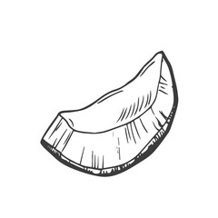 Coconut Slices outline icon vector illustration. Hand drawn black line pieces of organic coconut, two segments of coco fruit and superfood
