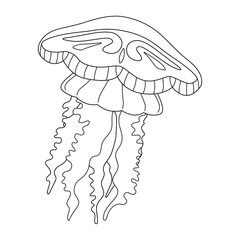 Jellyfish line art vector illustration. Black and white outline Jellyfish Coloring page for kids and adults. Page for relaxation and meditation. Vector illustration