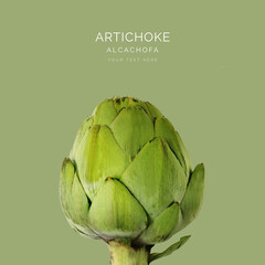 Creative layout made of macro artichoke on the green background. Food concept.