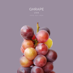 Creative layout made of macro grape on the purple background. Food concept.