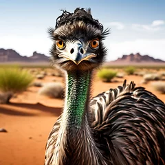 Deurstickers ostrich in the zoo © Mujahid
