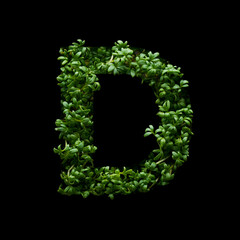 Capital letter D is created from young green arugula sprouts on a black background.