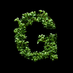 Capital letter G is created from young green arugula sprouts on a black background.